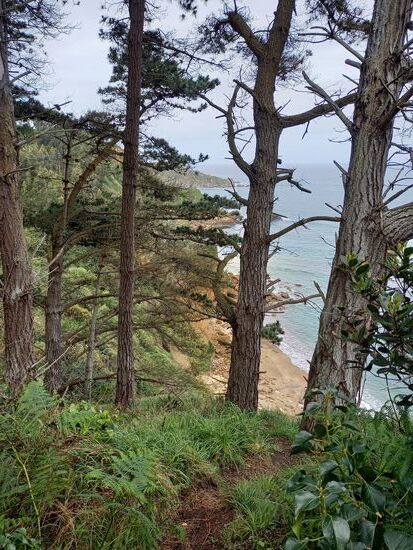 Etwas oberhalb können wir einen Blick auf die Küste erhaschen.