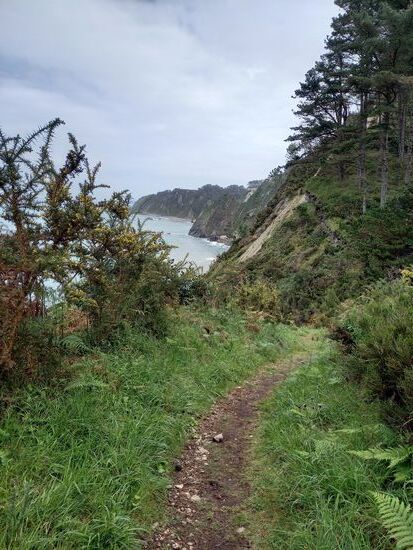 Wir pilgern entlang einer schroffen Küstenlandschaft. Sehr schön anzusehen.