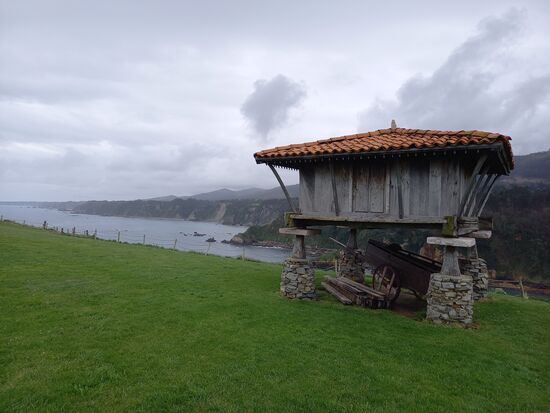 Aber einen kleinen Spaziergang zu den nahegelegenen Buchten machen wir dann doch noch  