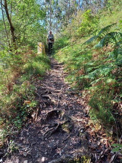 Nach der Pause ging es steil bergauf.