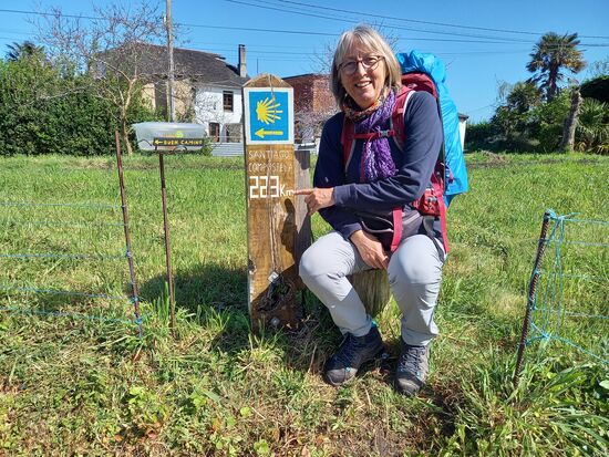 Kleine Motivation  - nur noch 223km bis Santiago