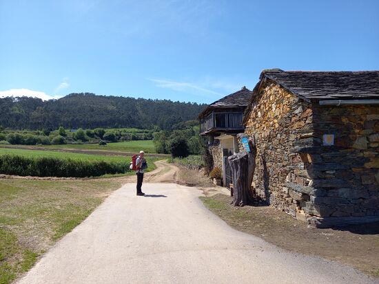 Kilometer um Kilometer geht es weiter. Trotz der Anstrenung genießen wir es. Nichts ist wichtig außer der nächste Schritt.