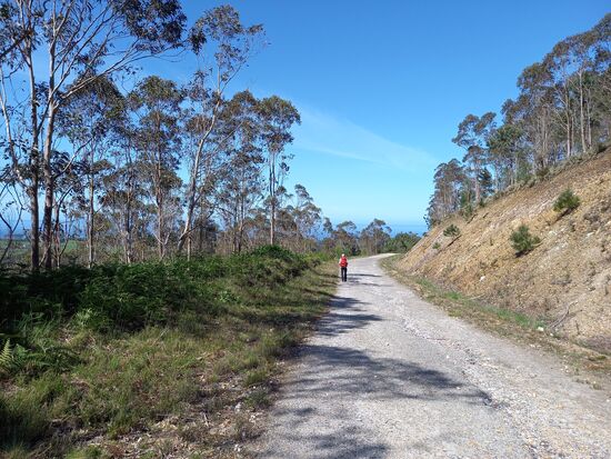Doch noch liegen 4km bergauf und bergab vor uns.