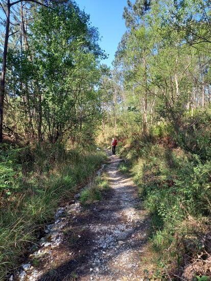 Inzwischen strengt jeder Schritt an und meine Beine schmerzen.