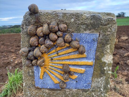 Im Schneckentempo geht es weiter  