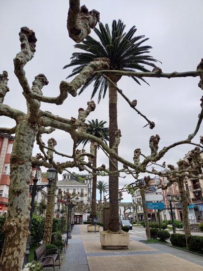 Nach acht Kilometer erreichen wir Navia. Zeit für eine kleine Pause.