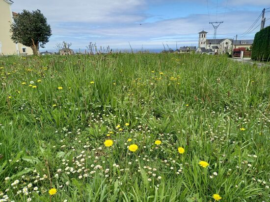 Erwähnenswert sind die vielen, wunderschöne Wiesen entlang des Weges.