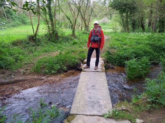 Morgens geht es zunächst durch einen lichten Wald.