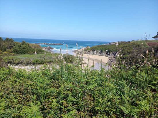 Im Verlauf des Weges Richtung Ribadeo sehen wir noch mehr von der Küste.