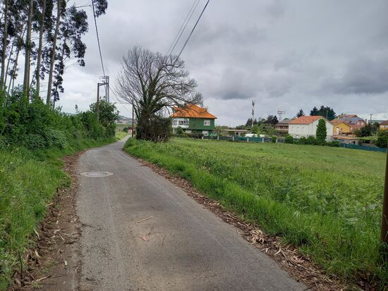 Dann gehen wir tatsächlich noch ein paar Meter entlang von Natur, ehe wir wieder entlang einer großen Straße gehen müssen.