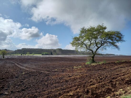 Der ganze Acker dampft