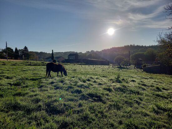 Tolle morgendliche Stimmung