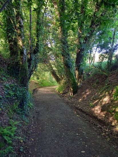 Heute im leichten auf und ab.