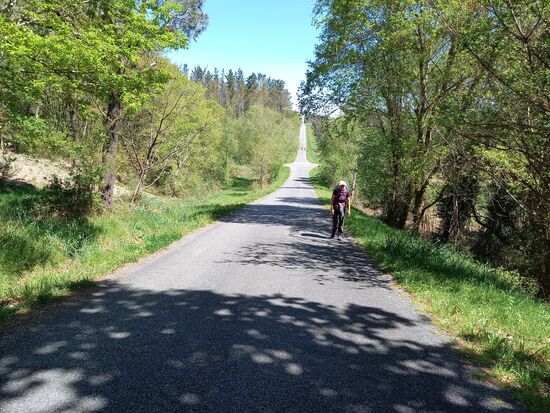 Dann geht es kilometerweit, schnurgerade, auf dieser Straße weiter. Das war anstrengend und langweilig!