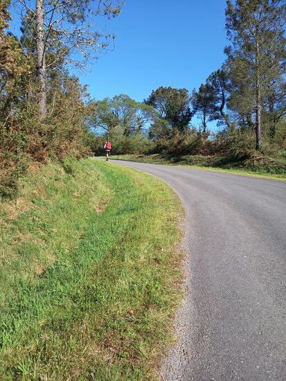 Es geht noch einige Male bergauf und bergab...