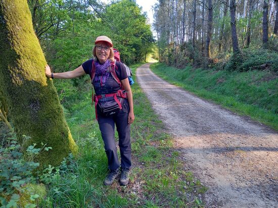 Wir freuen uns, so nah bei Santiago noch durch Wald zu gehen.