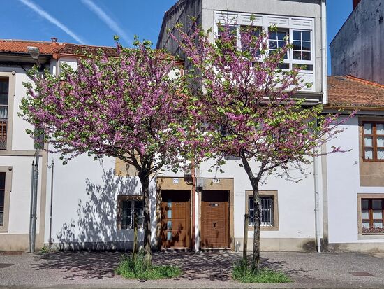 Wir gehen nun Hand in Hand, wir haben es fast geschafft.