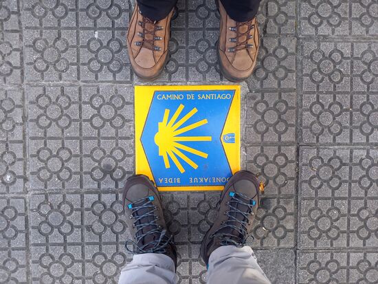 Kaum losgegangen, sehen wir die erste Muschel.