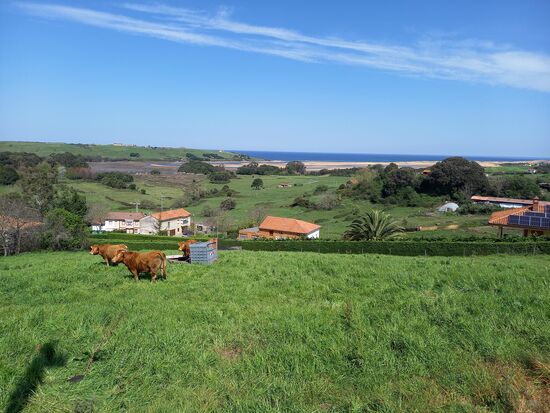 Die Landschaft ist geprägt von hügeligen Wiesen. Bei angenehmen 20Grad lässt es sich gut gehen.