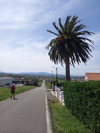 Wir gehen in Richtung Requejada, das sollte unser Tagesziel sein.