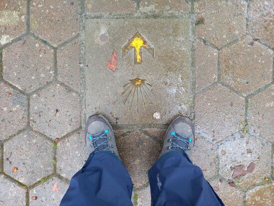 Die erste Muschel des Tages