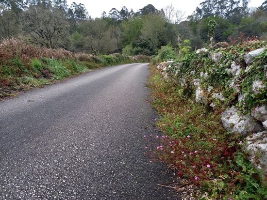 Noch einen Kilometer bis Serdio, unser Ziel für heute.
