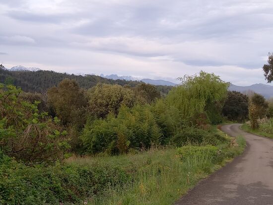 In der Ferne sehen wir die Schnee bedeckten Berge. Die Luft ist angenehm frisch und so lässt es sich gut gehen.