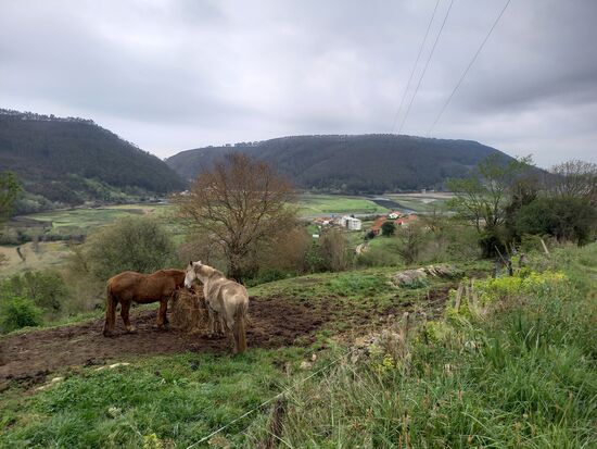 Hier tragen auch die Pferde kleine Glocken.
