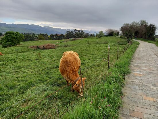 Wir genießen ein schönes Bergpanorama.