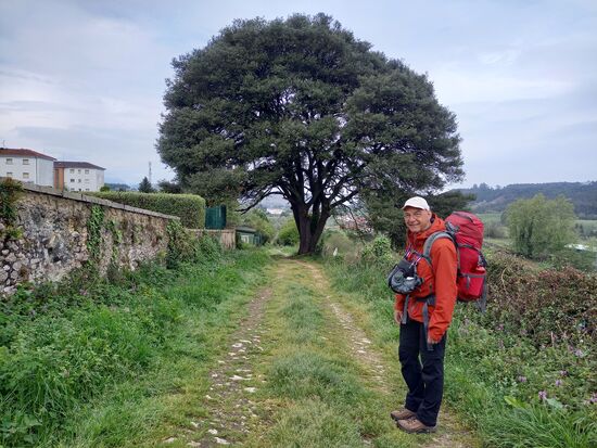Schließlich ziehen wir über la Franca weiter nach Buelna.