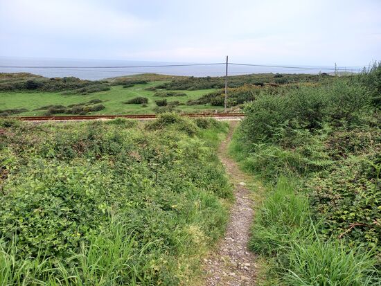 Wir gehen noch eine Weile parallel zur Straße, bis wir schließlich diesem Trampelpfad folgen.