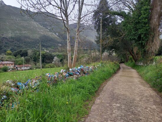 Wenige Schritte weiter entdecken wir bunte Steine.