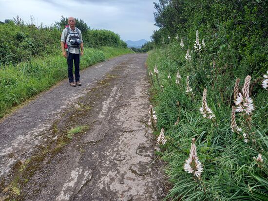 Im stetigen bergauf und bergab geht es weiter