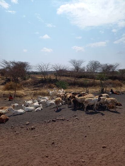 Kurz nachdem wir die Stadt hinter uns gelassen haben, geht es weiter auf einer staubtrockenen Piste Richtung unserer School of Hope.