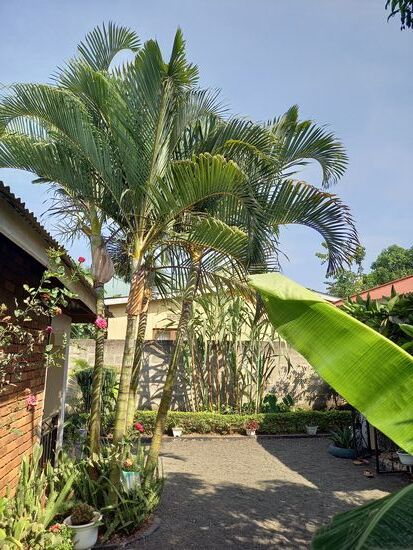 Am Morgen sind die Temperaturen noch angenehm und es ist herrlich draußen zu frühstücken.