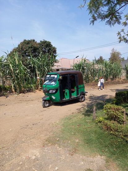 Ich fahre immer häufiger mit dem Tuc Tuc. Denn es ist brüllend heiß und heute habe ich außerdem viel zu tragen.
