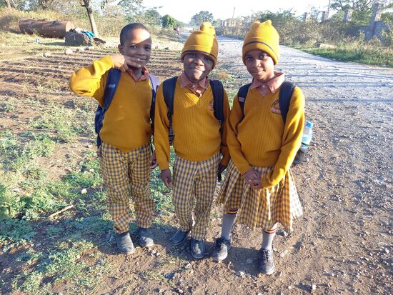 Ich mache noch fix ein Foto und dann laufen sie weiter Richtung Zuhause.