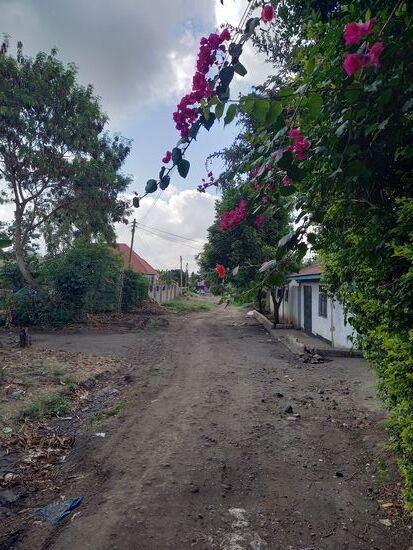 Ich verabschiede mich von der Schule und gehe ins Baby Haus.