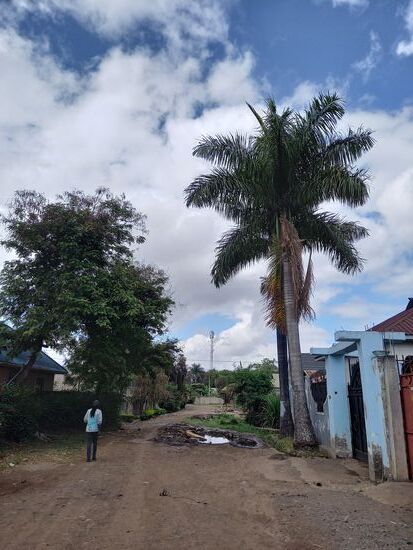 Ich gehe mir bekannte Wege und genieße es wieder hier zu sein.