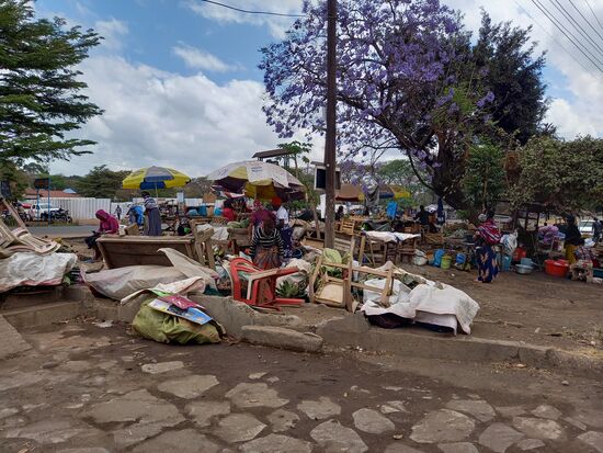 Der kleine Markt von Leganga
