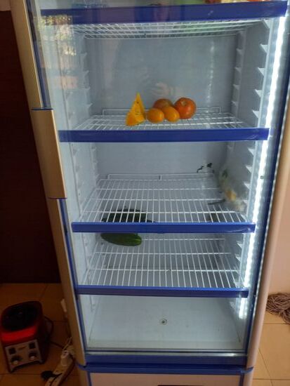 Der Blick in den Kühlschrank macht mich betroffen - nahezu leer.