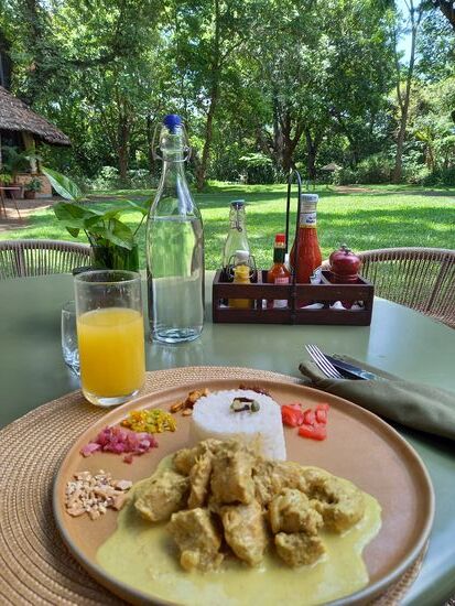 Lecker Hähnchen Curry