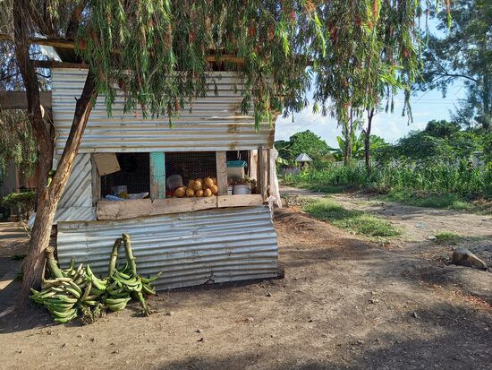 An allen Straßenrändern finden sich diese kleinen, einfachen Verkaufsstände an denen es stets saisonales Obst und Gemüse zu kaufen gibt.
