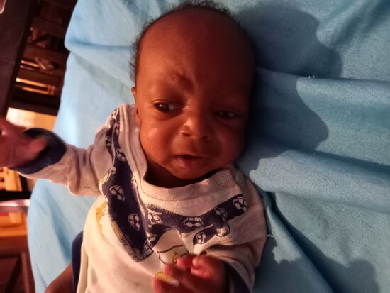 Sie sind allesamt so süß und brauchen neben Zuwendung und Liebe auch eine gesunde Ernährung und medizinische Versorgung.