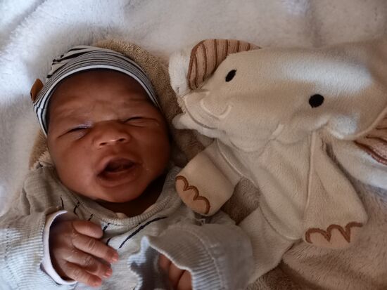 Die kleine Elisabeth