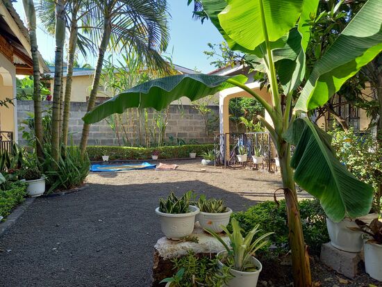 Keine Wolke am Himmel und es ist heiß. Ich sitze im Schatten und lasse die ersten Eindrücke sacken.