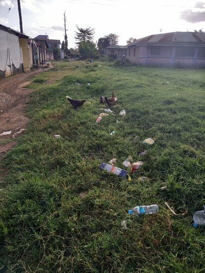Der Müll gehört leider auch zum Straßenbild