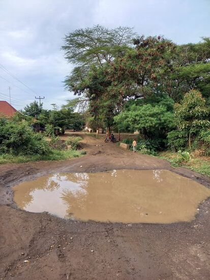 Das war nach dem Regen zu erwarten.