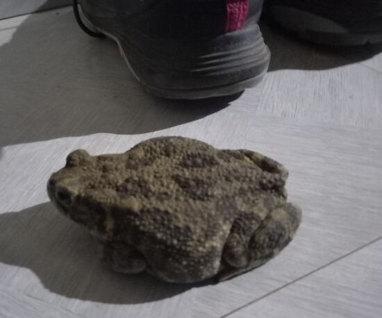 Na dann - gute Nacht  