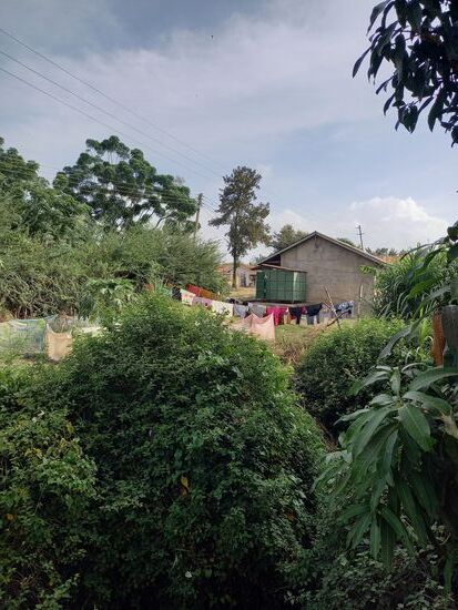 Wenig weiter wird Wäsche getrocknet.